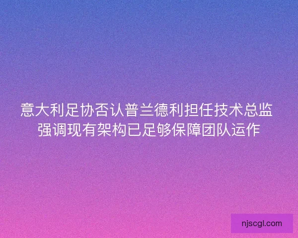 意大利足协否认普兰德利担任技术总监 强调现有架构已足够保障团队运作