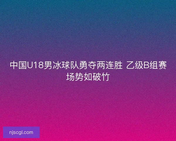 中国U18男冰球队勇夺两连胜 乙级B组赛场势如破竹