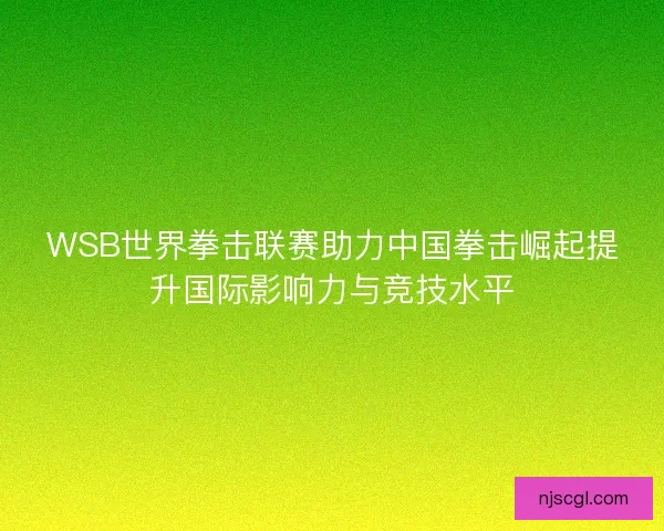 WSB世界拳击联赛助力中国拳击崛起提升国际影响力与竞技水平 WSB世界拳击联赛助力中国拳击崛起提升国际影响力与竞技水平
