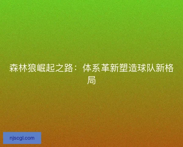 森林狼崛起之路：体系革新塑造球队新格局